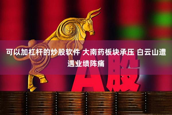 可以加杠杆的炒股软件 大南药板块承压 白云山遭遇业绩阵痛