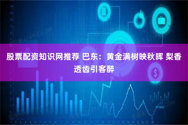 股票配资知识网推荐 巴东：黄金满树映秋晖 梨香透齿引客醉